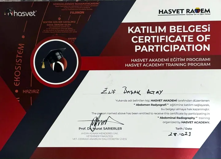 Katılım belgesi: Abdomen Radyografi – Vet. Hek. Elif Başak Altay