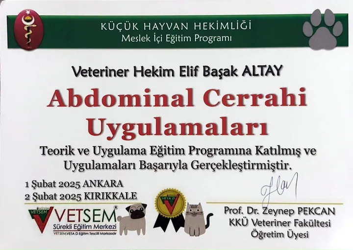 Teorik ve uygulama eğitimi: Abdominal Cerrahi Uygulamaları – Vet. Hek. Elif Başak Altay