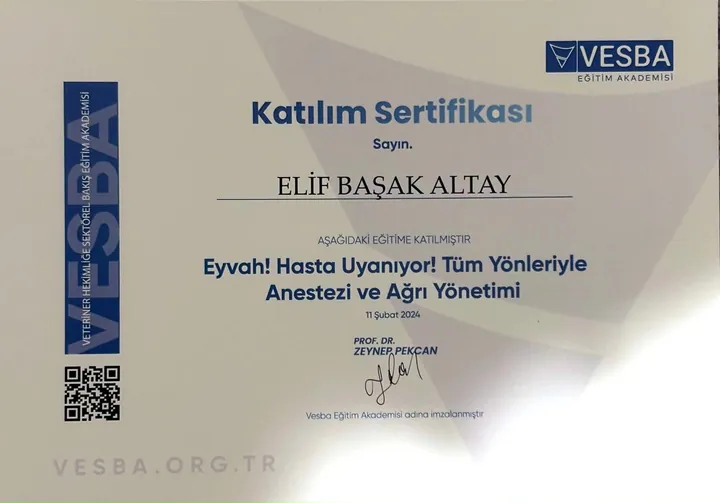 Katılım sertifikası: Eyvah! Hasta Uyanıyor! Tüm Yönleriyle Anestezi ve Ağrı Yönetimi – Vet. Hek. Elif Başak Altay