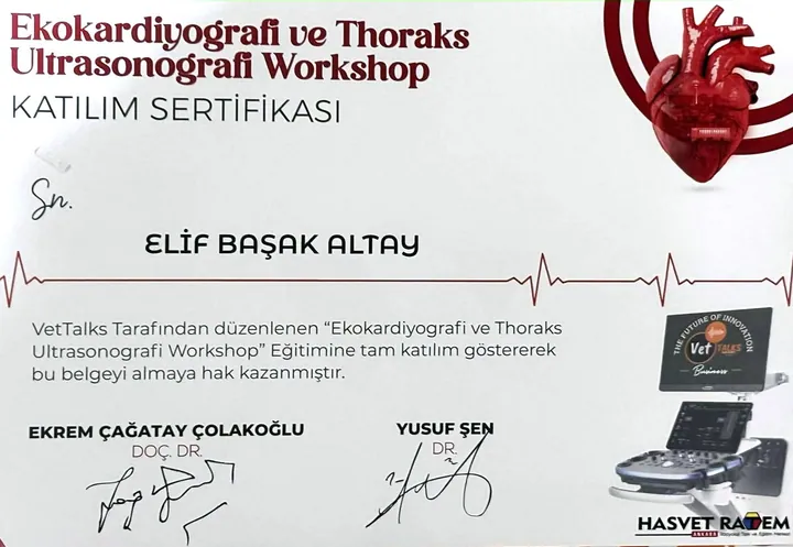Katılım sertifikası: Ekokardiyografi ve Thoraks Ultrasonografi Workshop – Vet. Hek. Elif Başak Altay