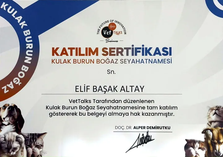 Katılım sertifikası: Kulak Burun Boğaz Seyahatnamesi – Vet. Hek. Elif Başak Altay