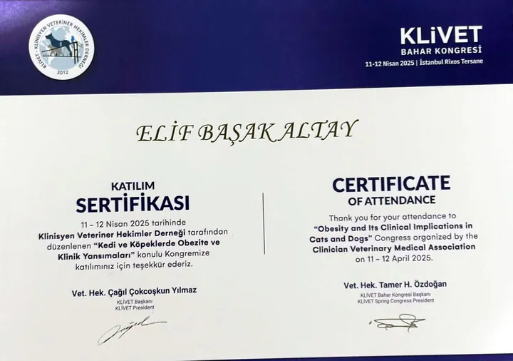 Katılım sertifikası: Kedi ve Köpeklerde Obezite ve Klinik Yansımaları – Vet. Hek. Elif Başak Altay