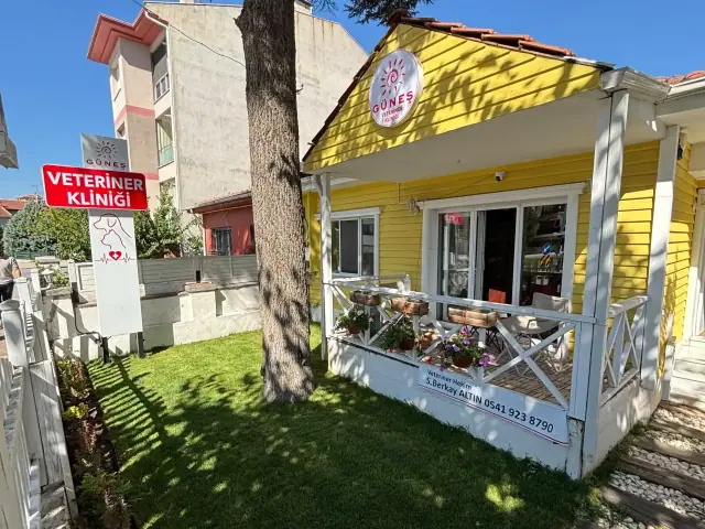 Güneş Veteriner Kliniği’nin sarı cepheli binası, verandası ve çimenli bahçesi – Porsuk Bulvarı, Odunpazarı