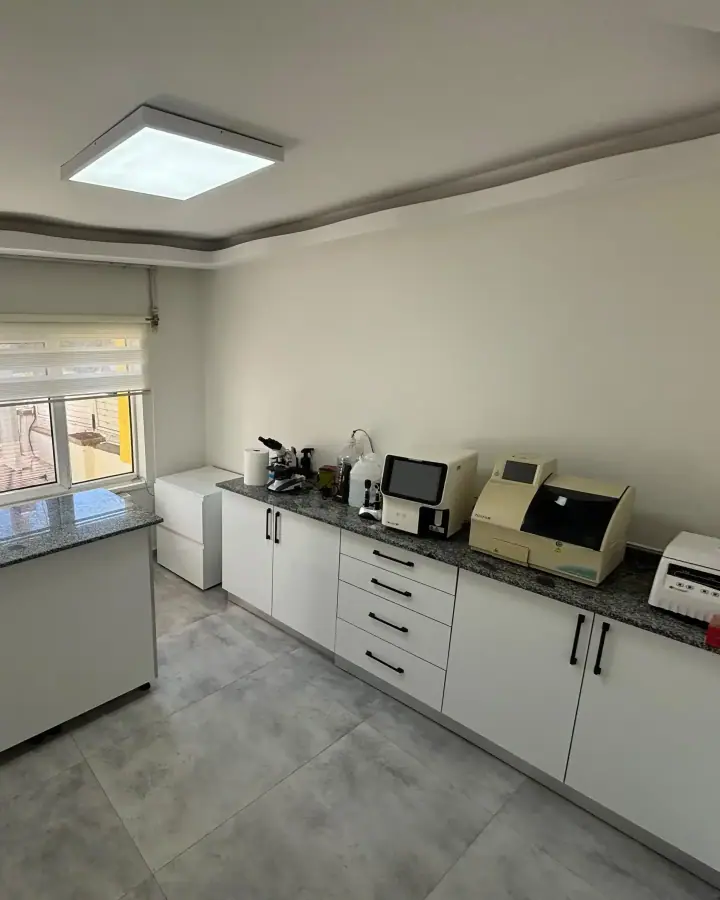 Klinik içi laboratuvar: hemogram ve biyokimya cihazları ile mikroskop