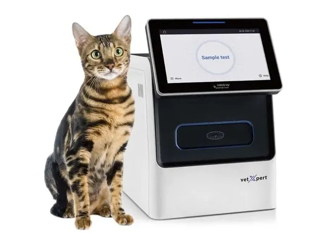 Mindray vetXpert biyokimya analizörü, yanında bir kedi